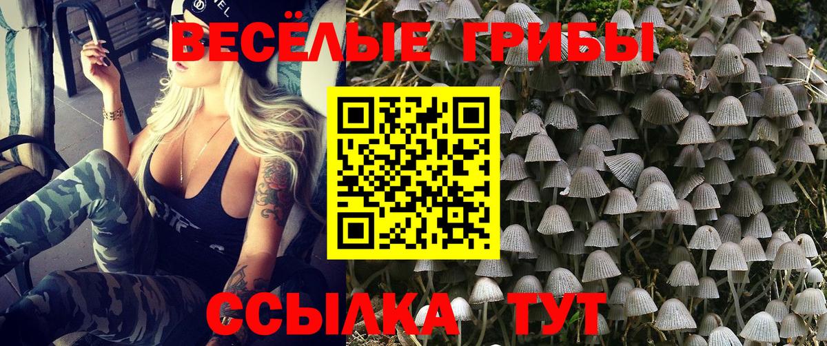 Псилоцибиновые грибы ЛСД  Галлюциногенные грибы Cubensis  Вход с VPN  Кандалакша 