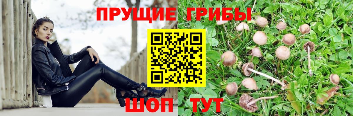 Псилоцибиновые грибы мухоморы Кандалакша